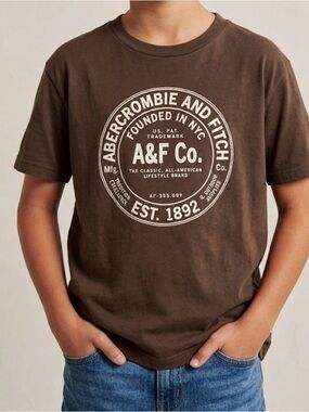 Abercrombie & Fitch Boys' Brown Logo Graphic Tee